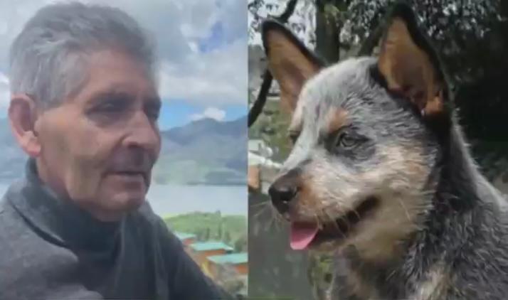Autoridades buscan a conductor que atropelló a un adulto mayor y a su perro en Bogotá