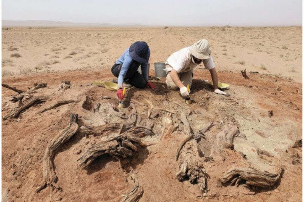 En colaboración con investigadores internacionales, un nuevo estudio dirigido por los profesores Gideon Shelach-Lavi y Dan Golan, de la Universidad Hebrea de Jerusalén, arroja luz sobre la muralla del Gobi.