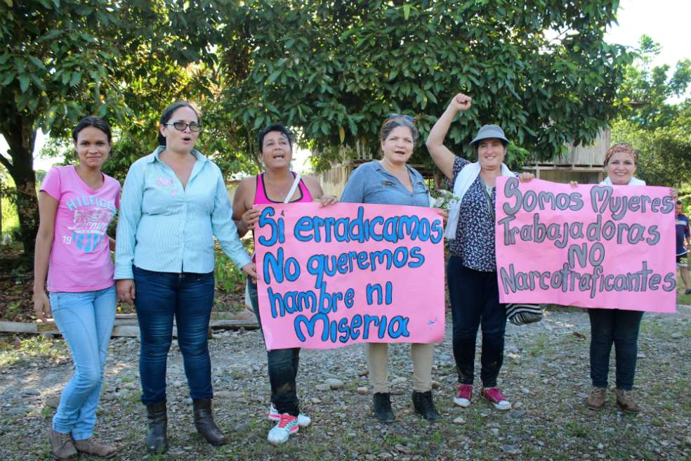 Cultivos de coca en Tumaco. / El Espectador
