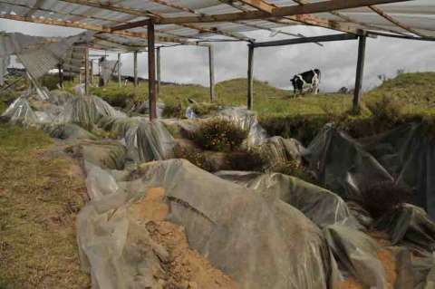 Muiscas buscan preservar sus costumbres frente a la occidentalización