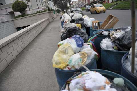 "Basura Cero", en manos del Consejo  de Estado