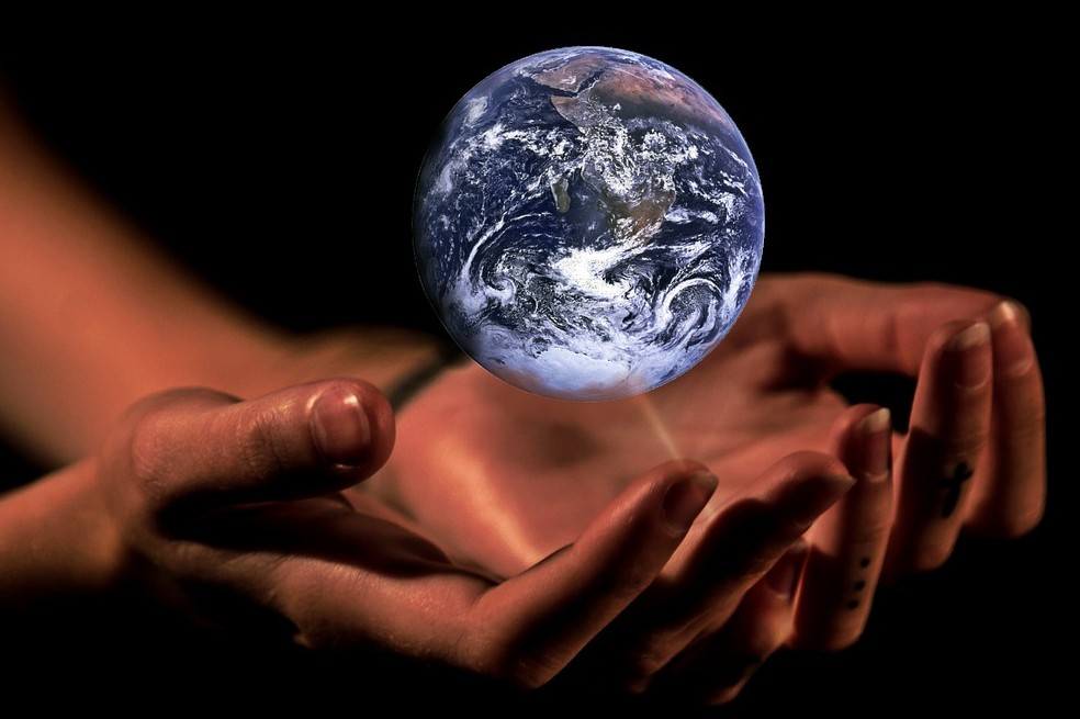 Una ecóloga nos cuenta cómo combatir este fenómeno que amenaza el planeta.
