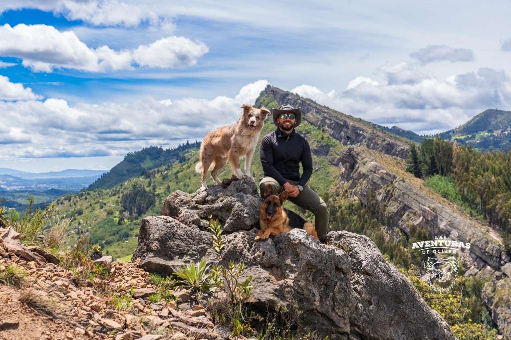 La clave para una experiencia segura radica en la preparación adecuada y la elección inteligente de las rutas. Es preferible optar por senderos más concurridos y conocidos, donde la presencia humana regular haya creado un ambiente más seguro tanto para las personas como para sus mascotas.