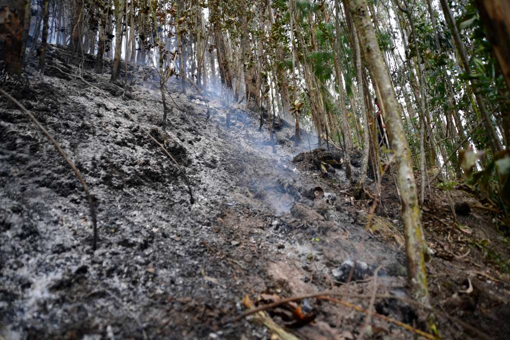 Oficiales de bomberos que tratan de mitigar los incendios en Sopo debido a las altas temperaturas climáticas.
