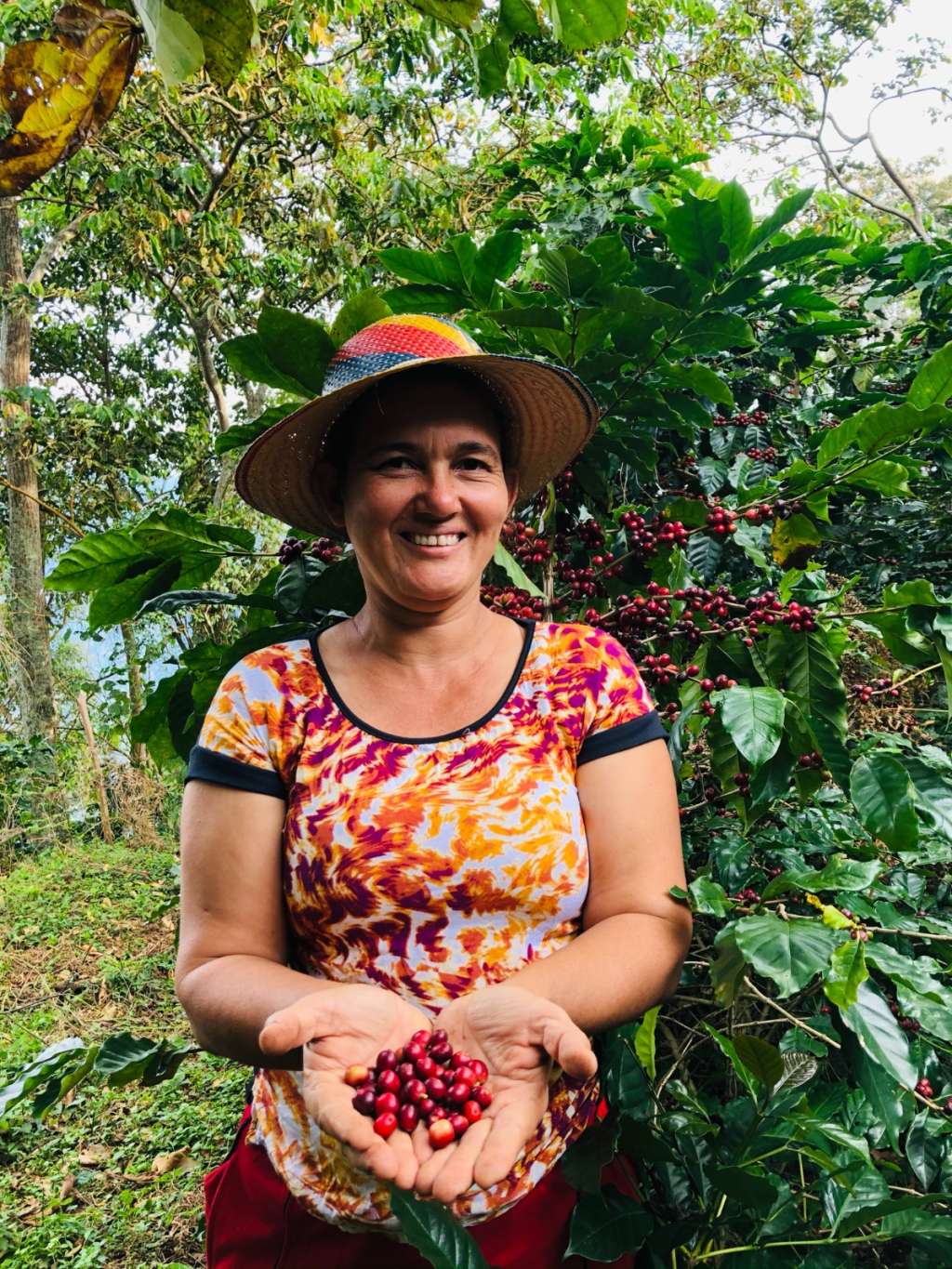 Café y cacao, de Colombia para el mundo: productores de la Sierra Nevada exponen sus productos en Alemania y España