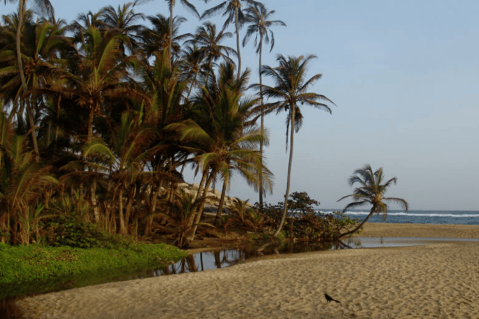 Los Parques Naturales que Colombia tiene en riesgo