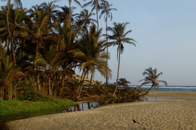 Los Parques Naturales que Colombia tiene en riesgo