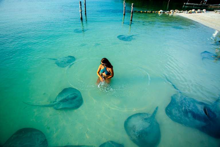 Peces tropicales, rayas, tiburones nodriza y, ocasionalmente, manatíes hacen parte de la biodiversidad que rodea las aguas cristalinas del cayo.