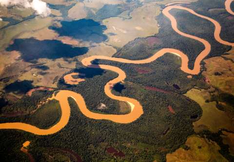 ¿Qué funciona mejor para proteger los bosques de la Amazonia? Un estudio da pistas