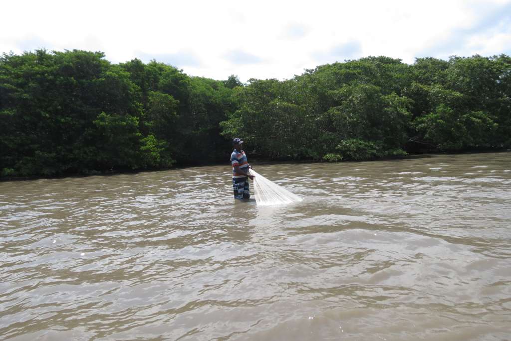 Práctica de pesca artesanal de camarón realizada por el Consejo Comunitario Santa Ana en la Bahía de Barbacoas.