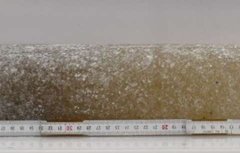 El hielo más antiguo hallado en la Antártida revela señales de un clima extremo