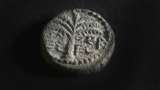Las monedas de hace 1.900 años que encontraron en el desierto de Judea