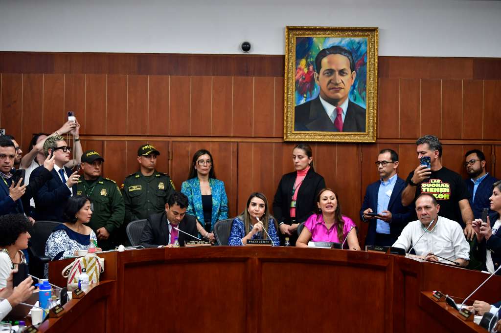 Senadora del partido Conservador durante el debate de la reforma laboral del gobierno de Gustavo Petro la cual se hundió en la Comisión Séptima del Senado