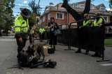 Cada hora se imponen en Bogotá 13 comparendos por infringir el Código de Policía
