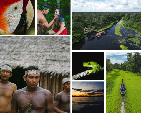 Amazonas, inefable: un viaje interior en el pulmón del mundo