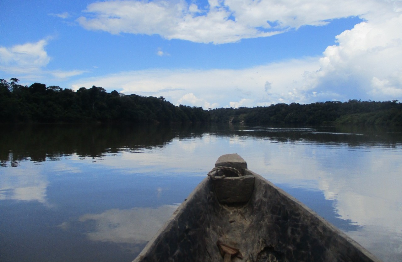 Entre 2001 y 2021, apenas el 6% de la deforestación en la Amazonia colombiana ocurrió al interior de zonas de resguardo.