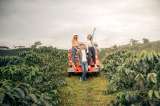 Cinco destinos para saborear el Valle del Cauca esta Semana Santa
