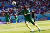 Camerún vs. Serbia: un duelo crucial para seguir con vida