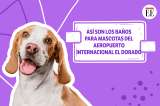 En video: conozca los baños para mascotas del aeropuerto El Dorado, en Bogotá