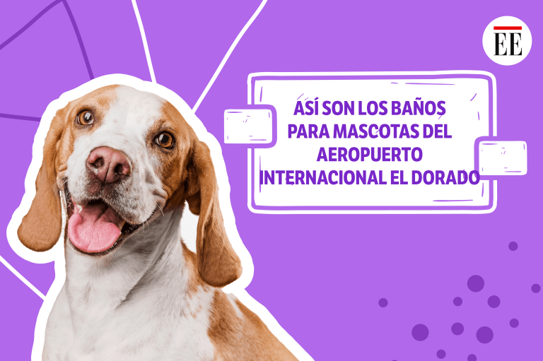 En video: conozca los baños para mascotas del aeropuerto El Dorado, en Bogotá
