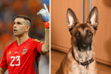 Esto cuesta el pastor belga malinois, la nueva mascota de “Dibu” Martínez