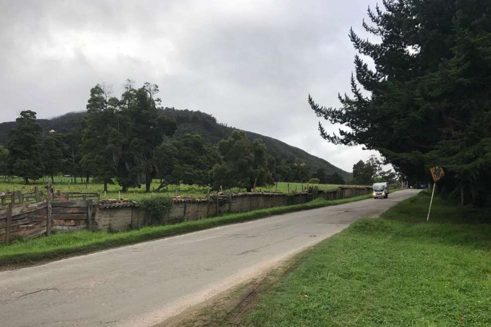Carrera Séptima al norte de Bogotá donde se realizó el censo de especies. / Cortesía U. del Bosque.