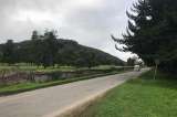 Carrera Séptima al norte de Bogotá es una trampa mortal de especies