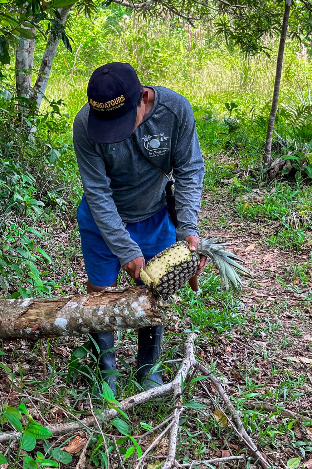 Turismo en el Amazonas