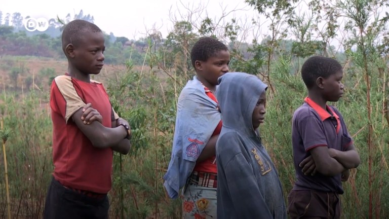 Los efectos de la crisis climática que se viven  en Zimbabue