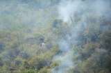 Indagan a funcionaria de Cortolima por quema de vegetación durante emergencia por incendios