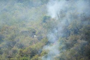 Indagan a funcionaria de Cortolima por quema de vegetación durante emergencia por incendios