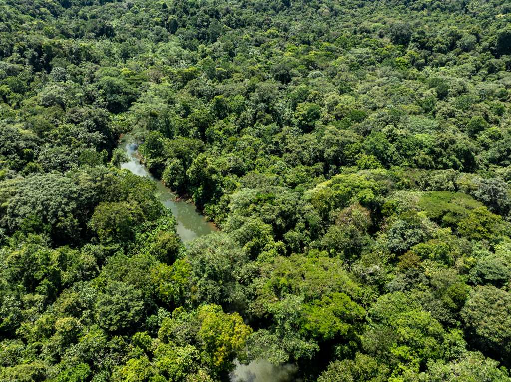 Las iniciativas comunitarias para conservar la naturaleza que surgieron tras el Acuerdo de Paz.