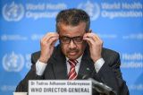 Ghana declara el primer brote por el virus de Marburgo. ¿De qué se trata?