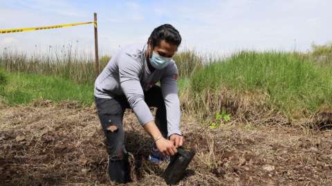 Reforestación de los cerros: un camino largo y que requiere de paciencia