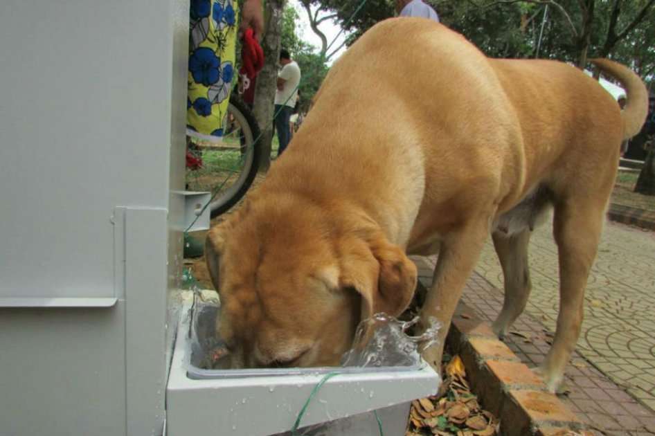 Facebook Proyecto Comedog Bucaramanga / Facebook Proyecto Comedog Bucaramanga