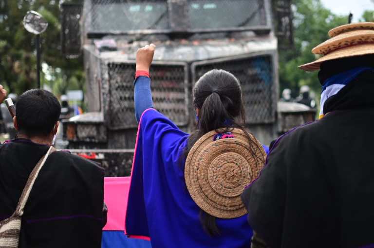 Esta comunidad indígena ya había tumbado la estatua de Gonzalo Jiménez de Quesada en Bogotá y de Sebastián de Belalcázar en Cali.