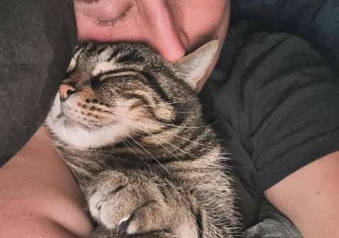 ¿Por qué los gatos se acercan a las personas enfermas?