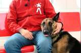Hashi, el primer perro en subirse al Metro de Bogotá: el sistema será pet friendly