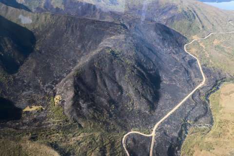 Chingaza reabrirá al público tras el incendio, pero uno de sus senderos estará inhabilitado