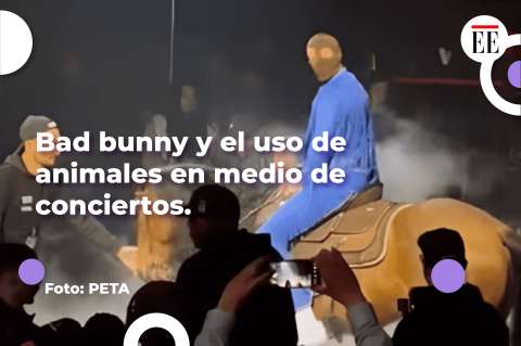 Bad Bunny y el uso de animales en medio de conciertos