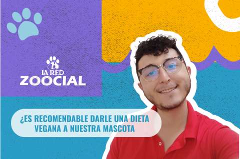 (Video) ¿Es recomendable darle una dieta vegana a nuestra mascota?