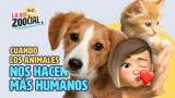 Estar con las mascotas en las buenas y en las malas