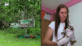 Exganaderos ahora se dedican a rescatar animales desterrados por la deforestación