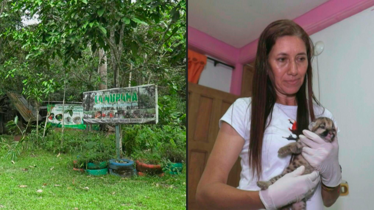 Exganaderos ahora se dedican a rescatar animales desterrados por la deforestación