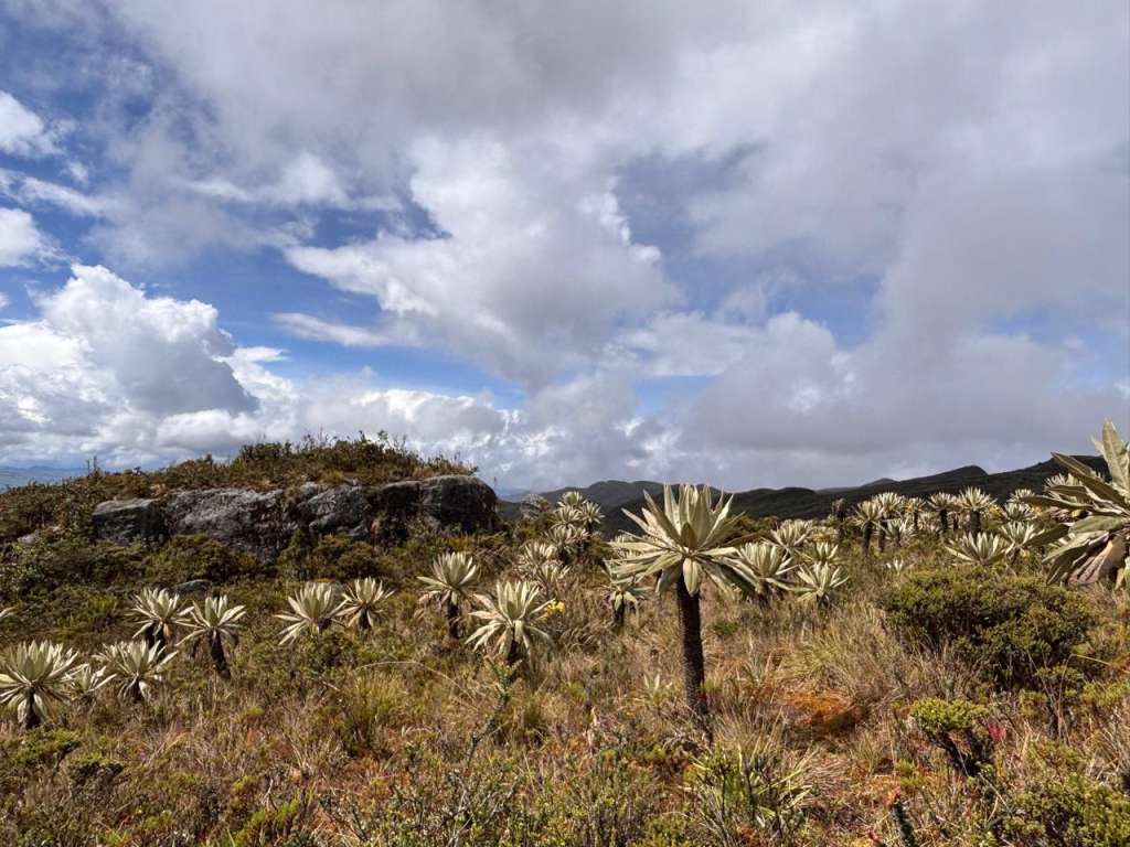 Páramo de Guatanfur