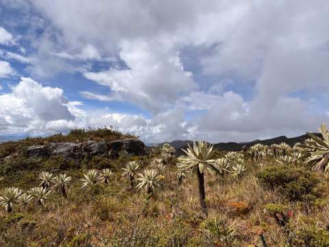Senderismo en el páramo de Guatanfur: ¿cómo llegar  y cuál es la ruta?