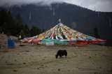 Terremoto de magnitud 7 sacude la región china de Tíbet