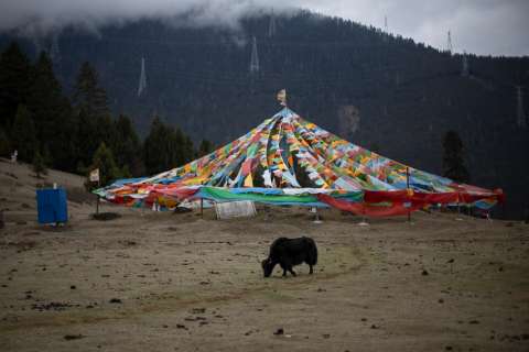 Terremoto de magnitud 7 sacude la región china de Tíbet