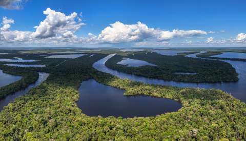 Cine en la Amazonía de Brasil