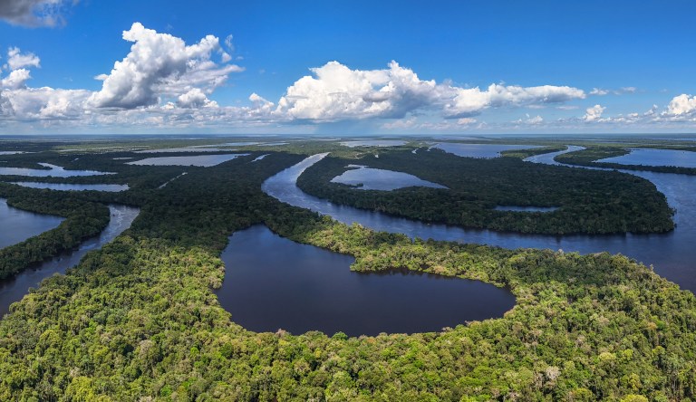 Cine en la Amazonía de Brasil